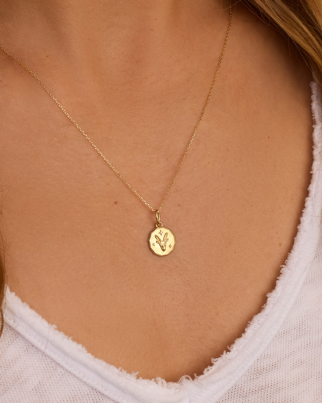 Diamond Zodiac Coin Charm Necklace