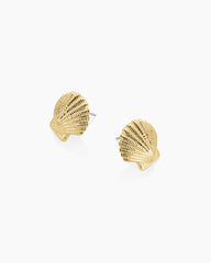 Shell Statement Studs