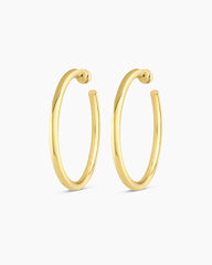 Carter Statement Hoops